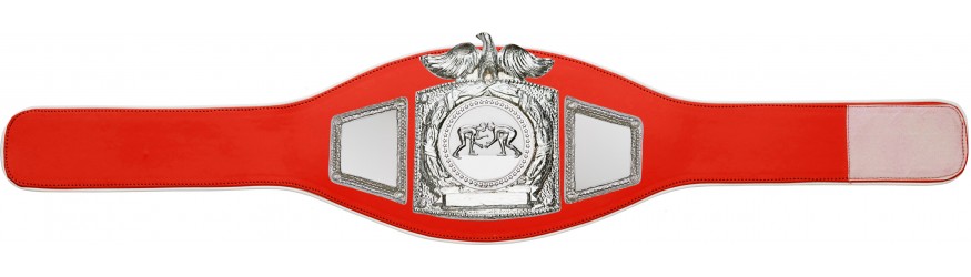 PROEAGLE GRAPPLING CHAMPIONSHIP BELT - PROEAGLE/S/GRAPS - AVAILABLE IN 6+ COLOURS